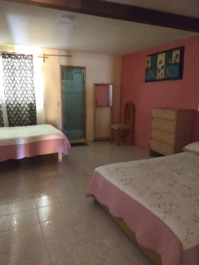 El Paraiso De Zacatlan Departamento Con Jardin, 11 Pax מראה חיצוני תמונה